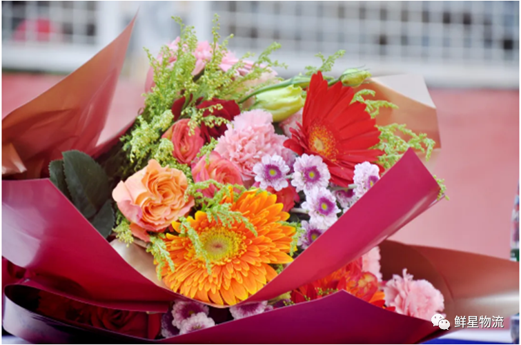 1611663494979635.png 5.png